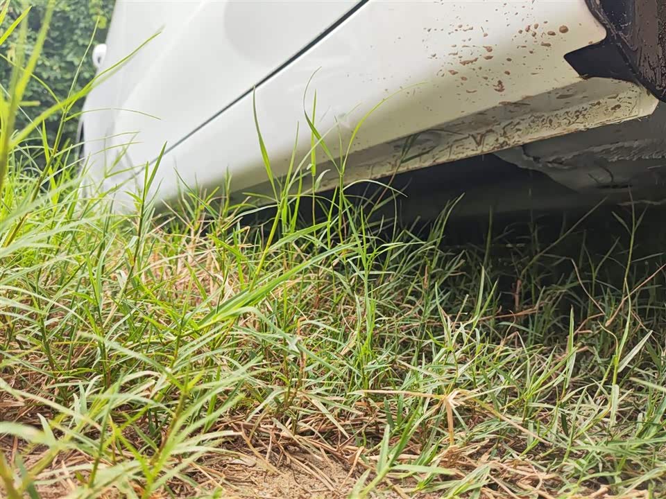 Roewe i5