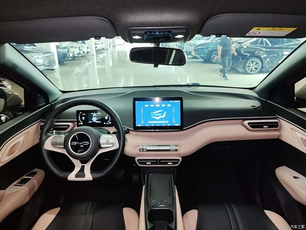 BYD Seagull, 2024 10