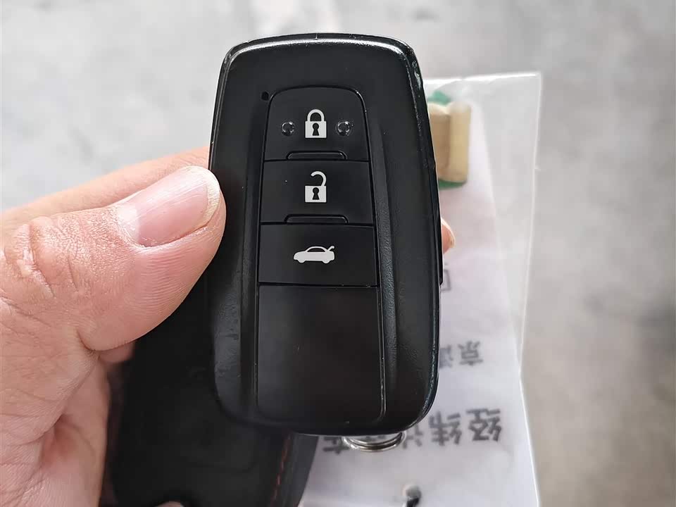 Toyota Asian lion