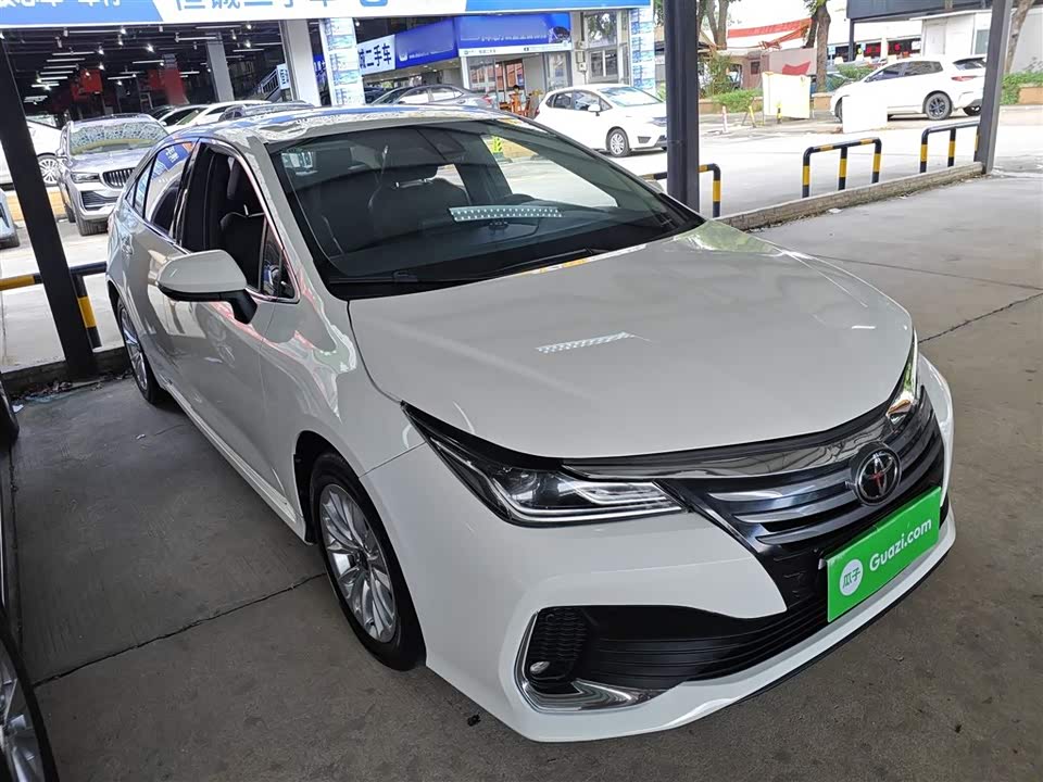 Toyota Asian lion