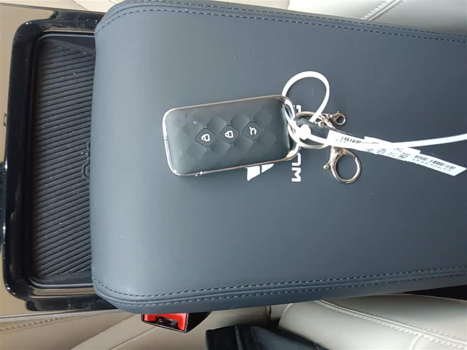 Wuling Wuling Starlight