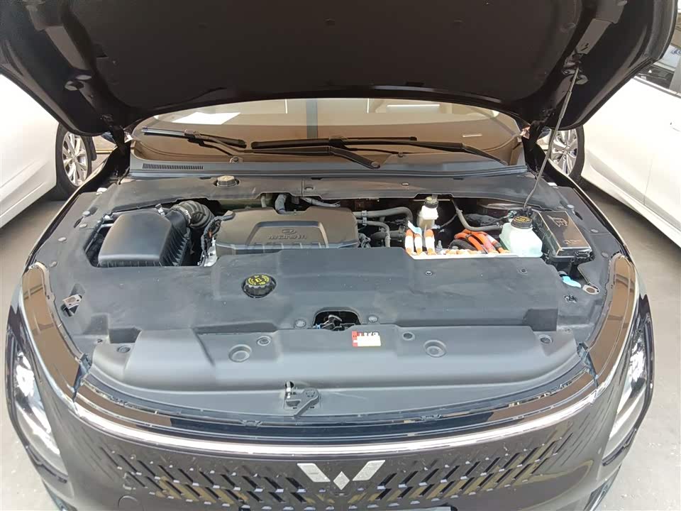 Wuling Wuling Starlight