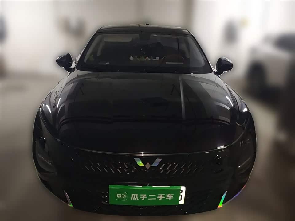 Wuling Wuling Starlight