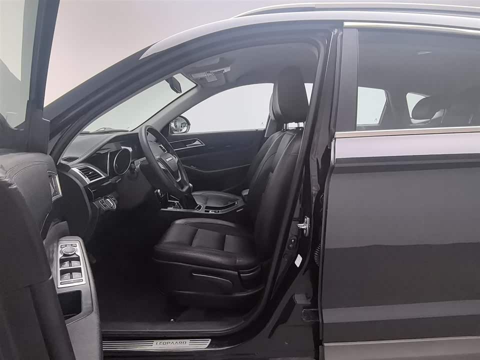 Leopaard Cheetah CS10