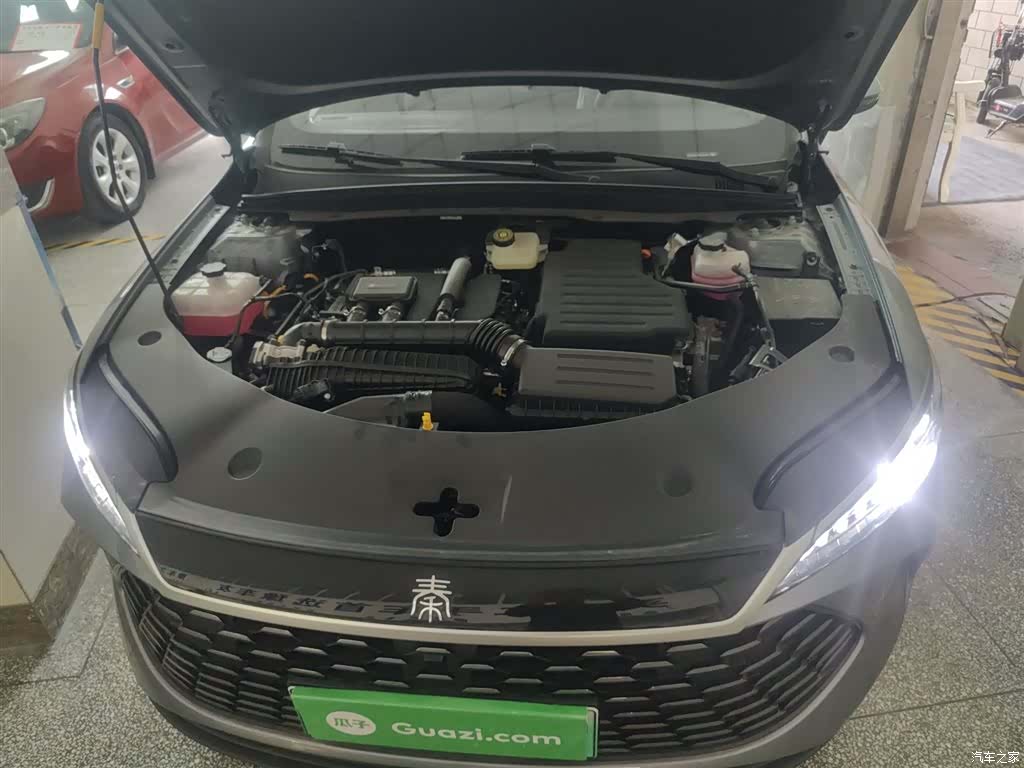 BYD Qin, 2026 16