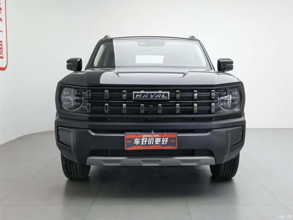 Haval Cool Dog, 2023 3