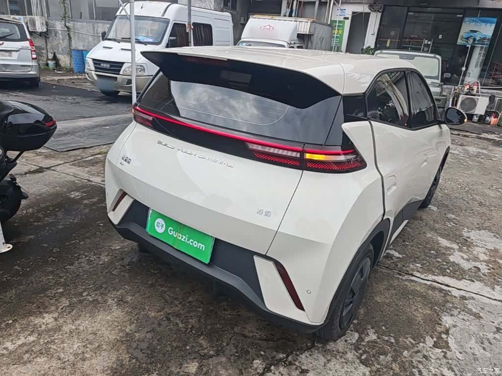 BYD Seagull, 2024 7