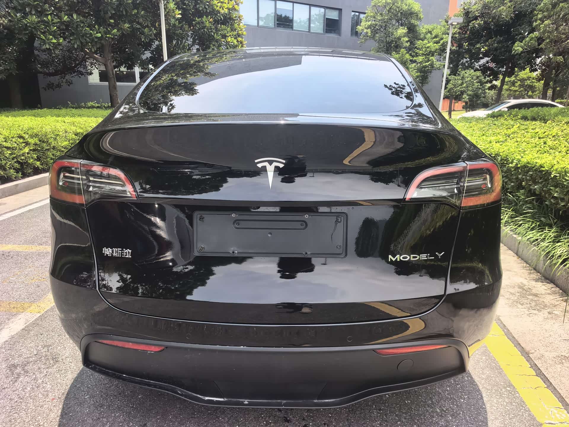 Tesla Model Y, 2022 все фото