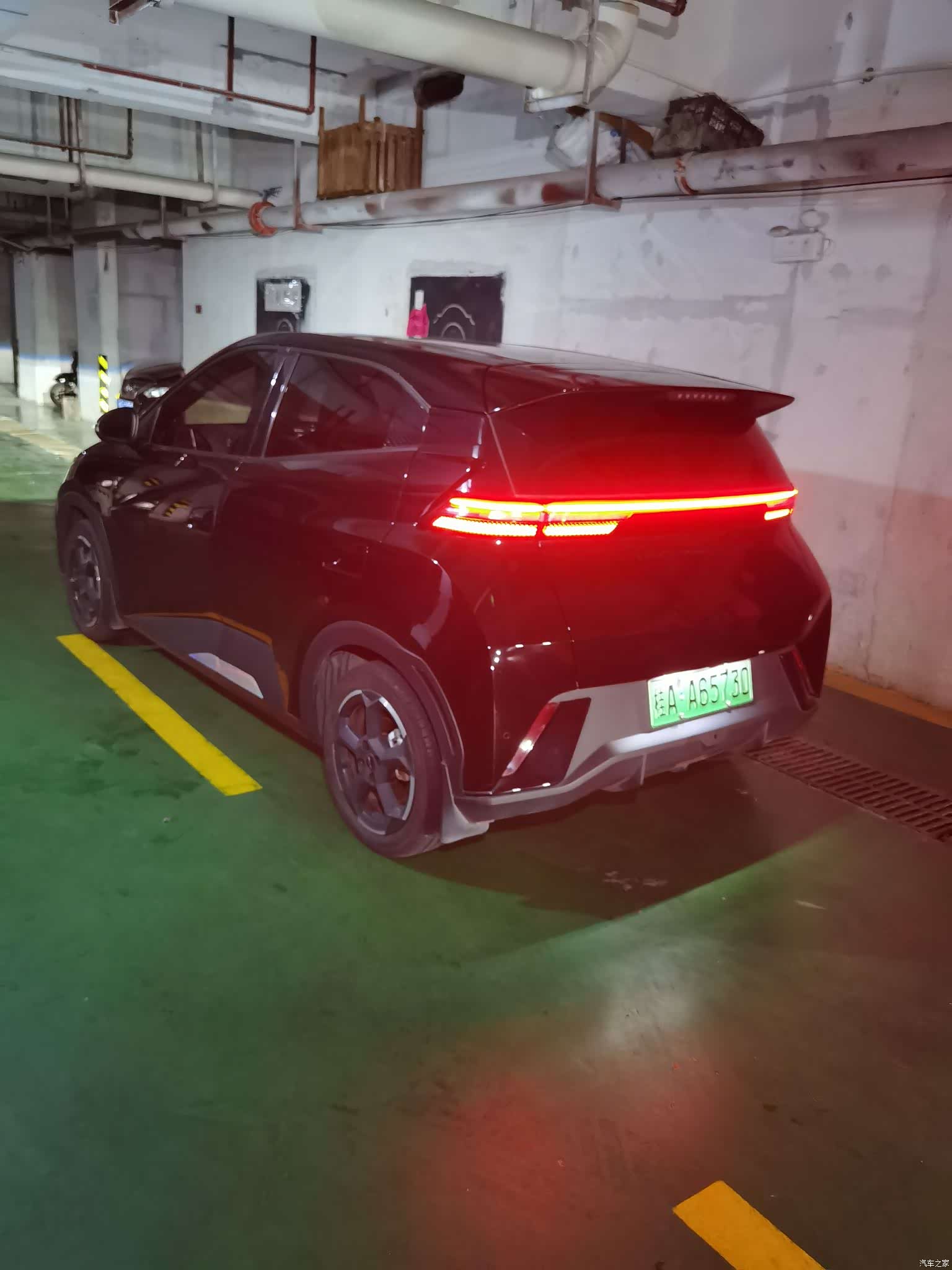 BYD Seagull, 2024 все фото