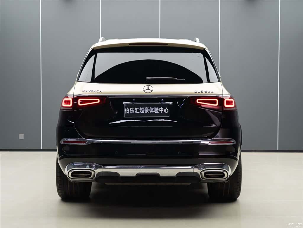 Maybach GLS, 2024 6
