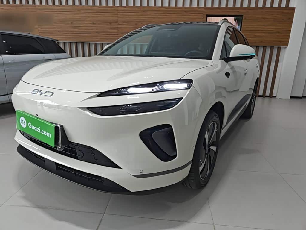 BYD 06