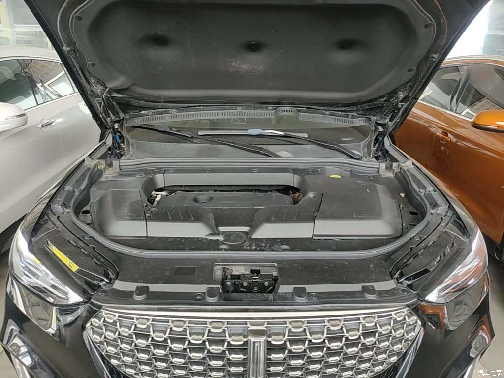 WEY VV6, 2021 20