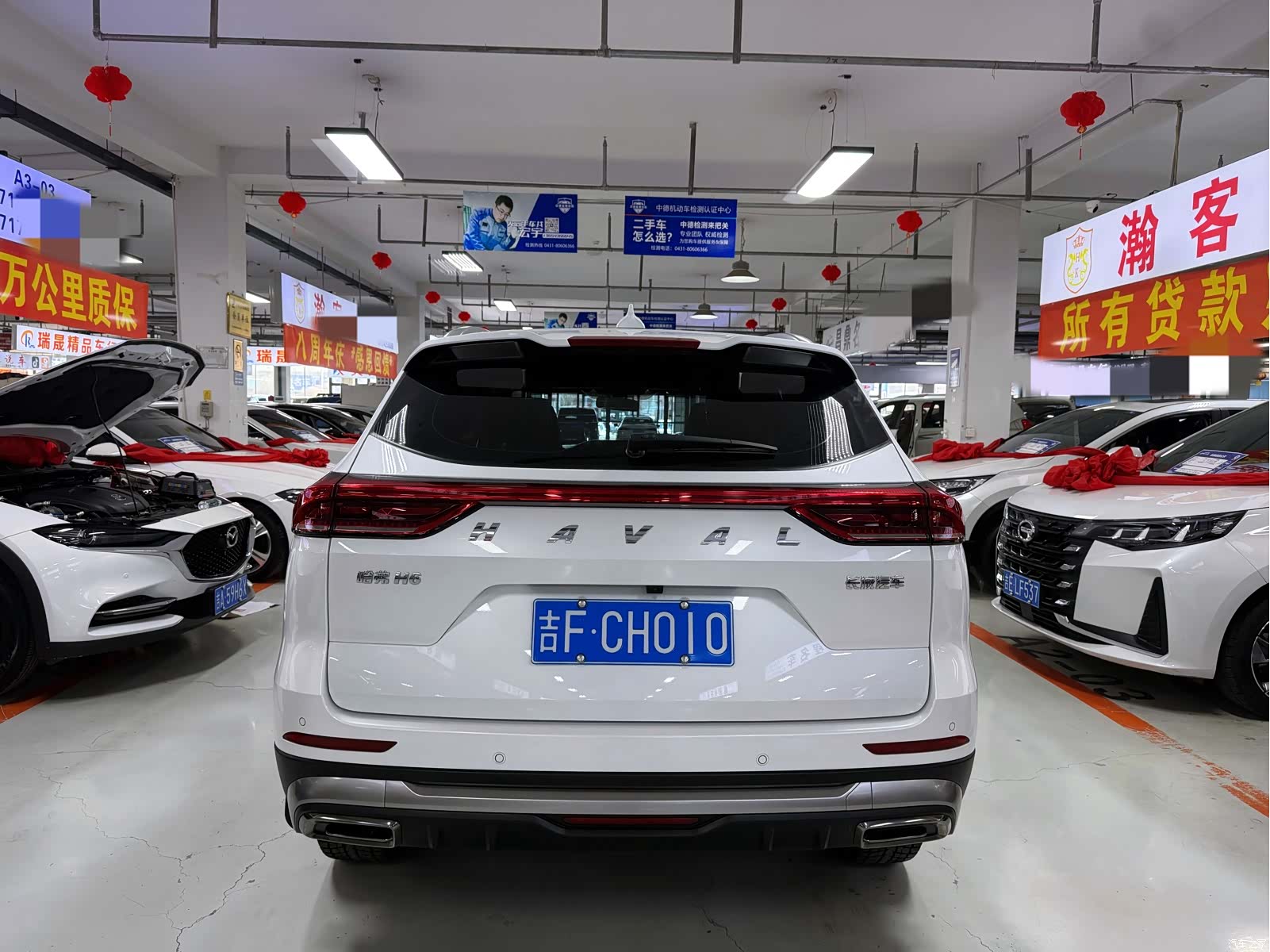 Haval H6, 2023 все фото