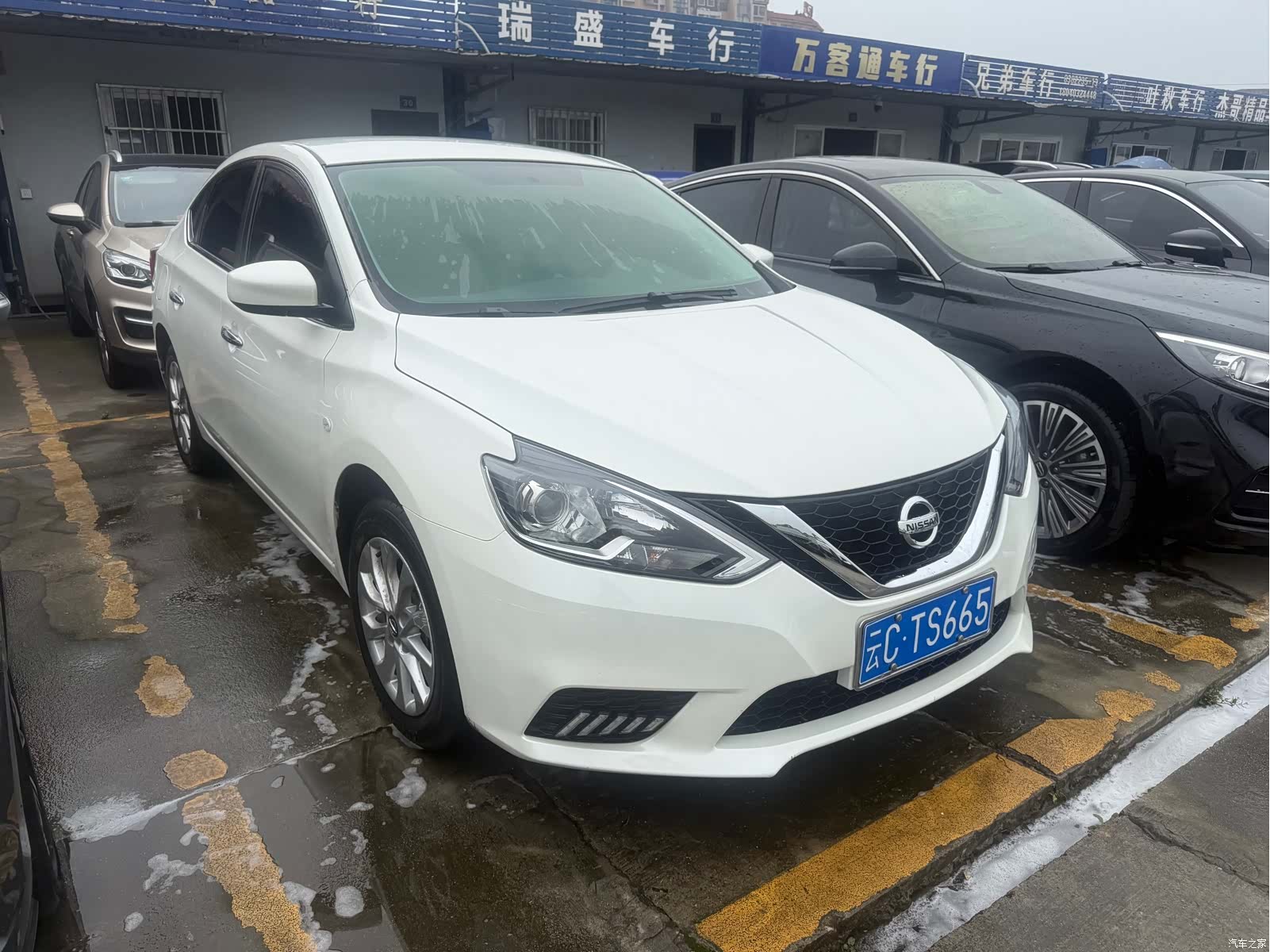 Nissan Sylphy, 2025 3