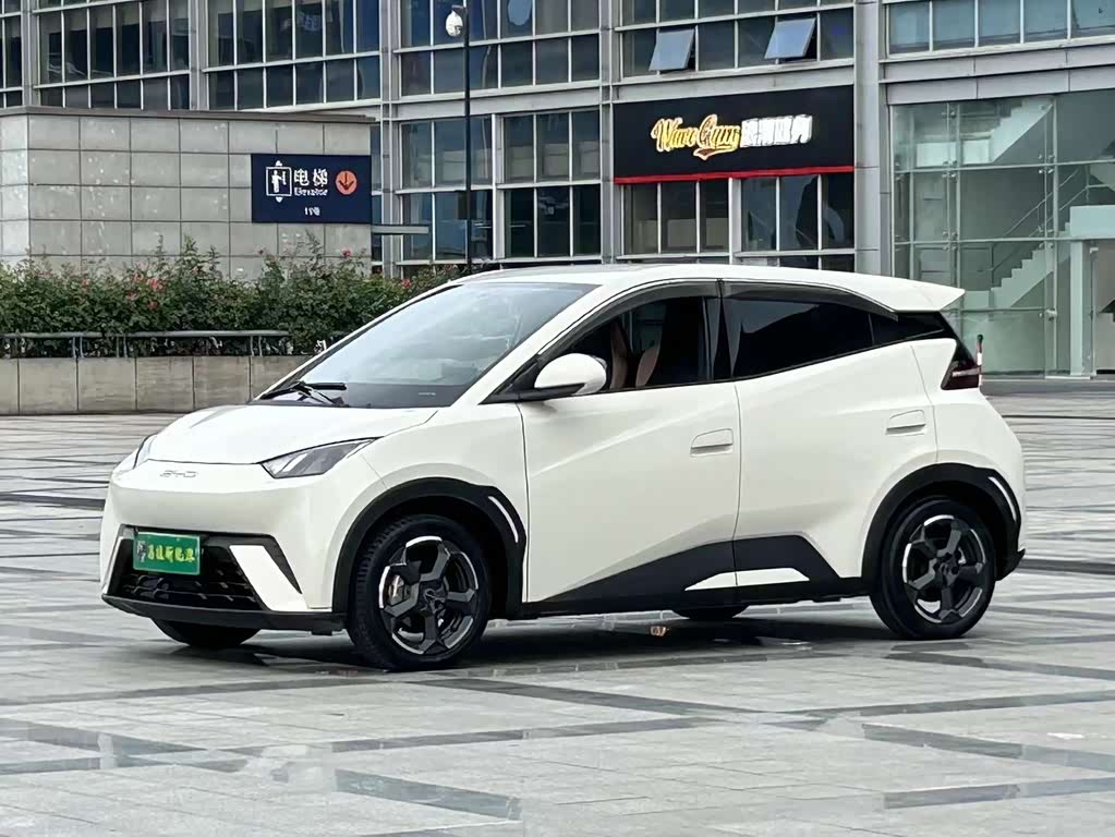 BYD Seagull