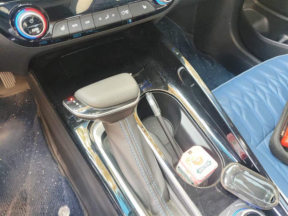 Buick Slightly blue 6