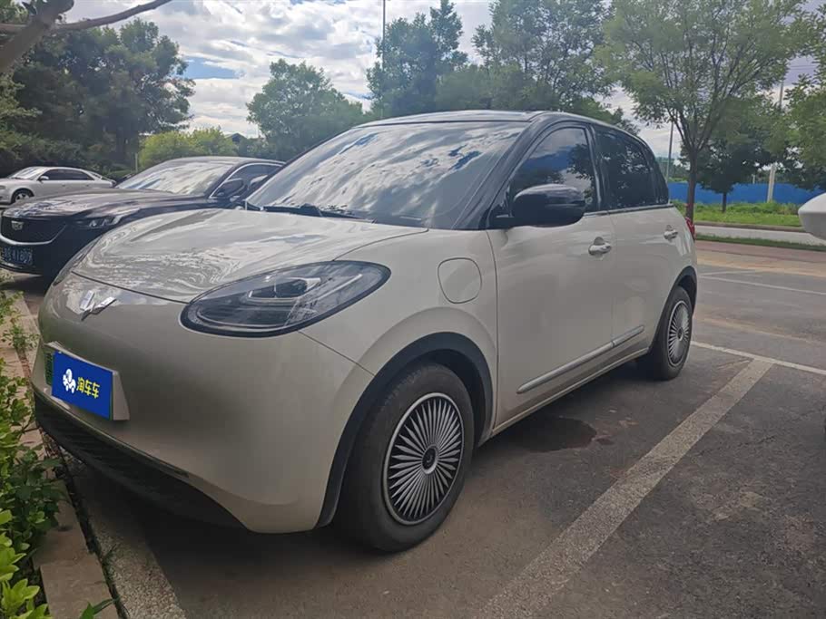 Wuling Binguo