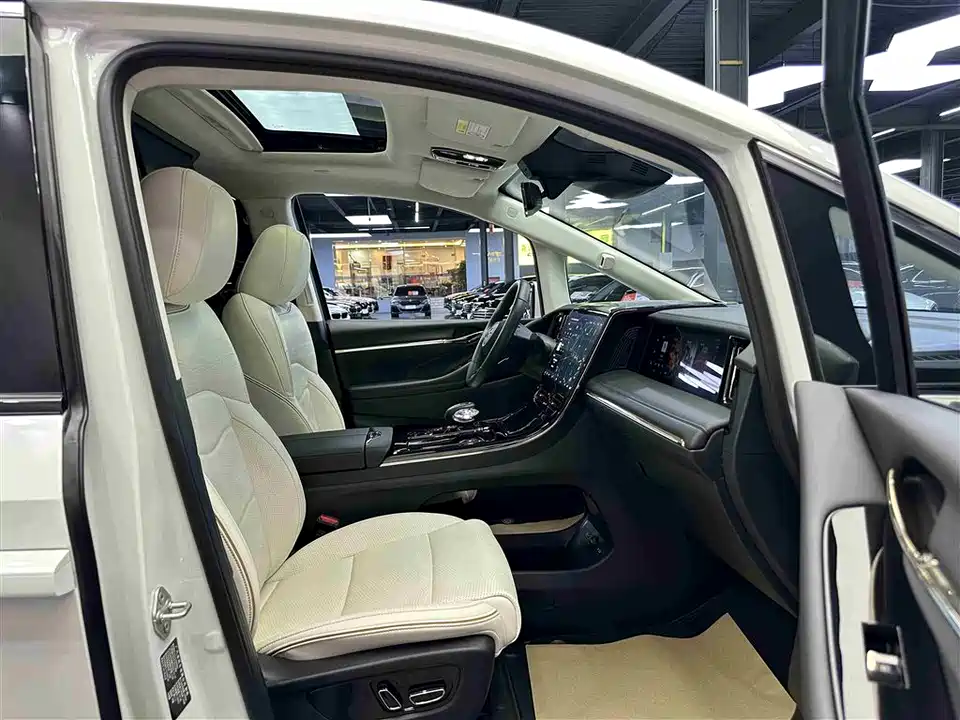 Trumpchi Trumpchi E9