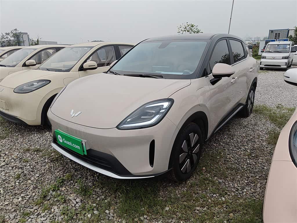 Wuling BinguoS