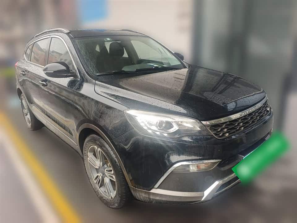 Leopaard Cheetah CS10