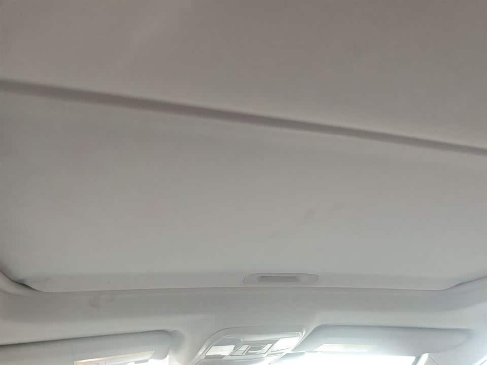 Leopaard Cheetah CS10