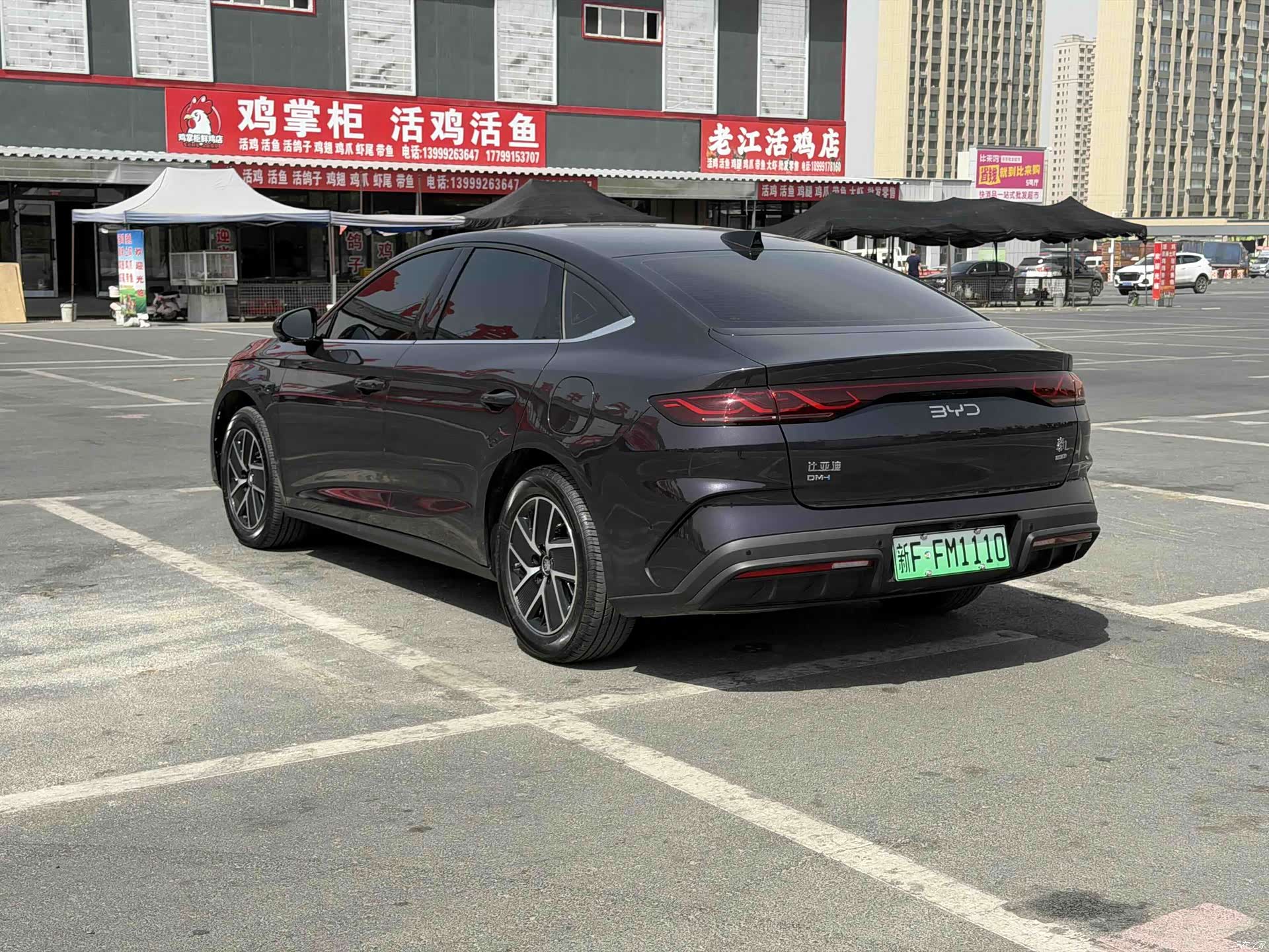 BYD Qin, 2026 8