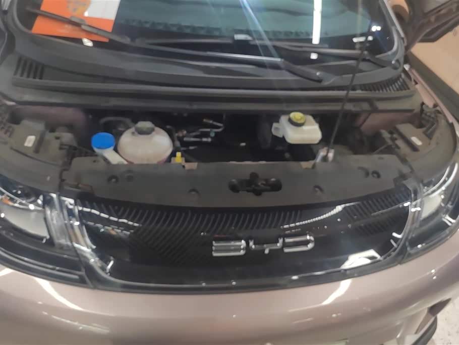 BYD dolphin