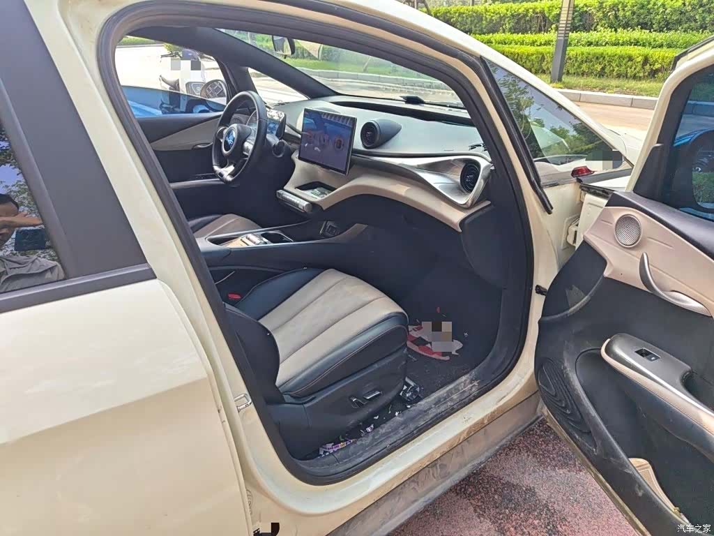 BYD Dolphin, 2024 20