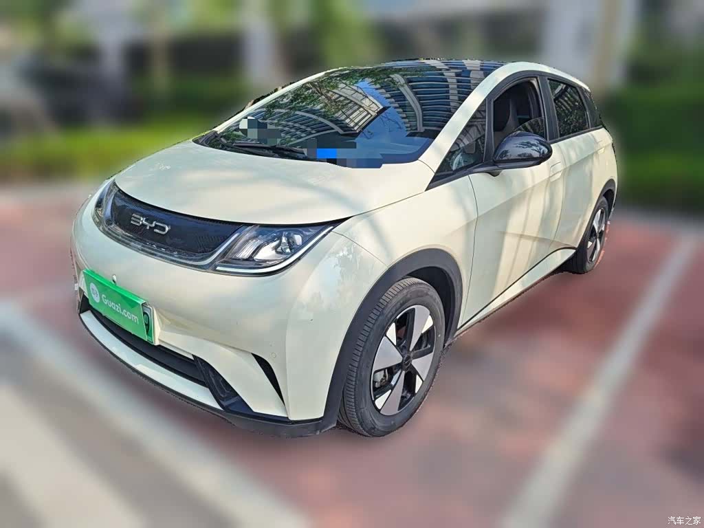 BYD Dolphin, 2024 1