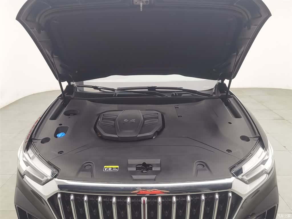 Hongqi HS5, 2022 6