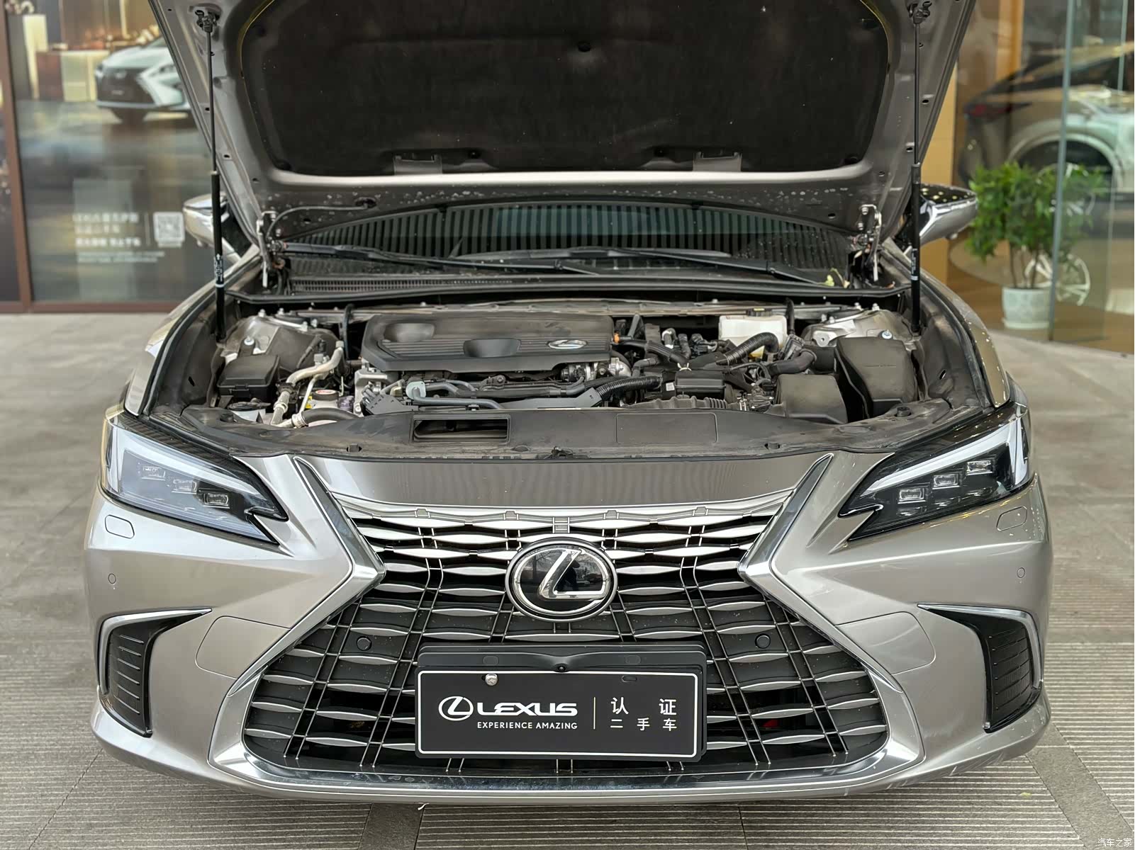 Lexus ES, 2025 11
