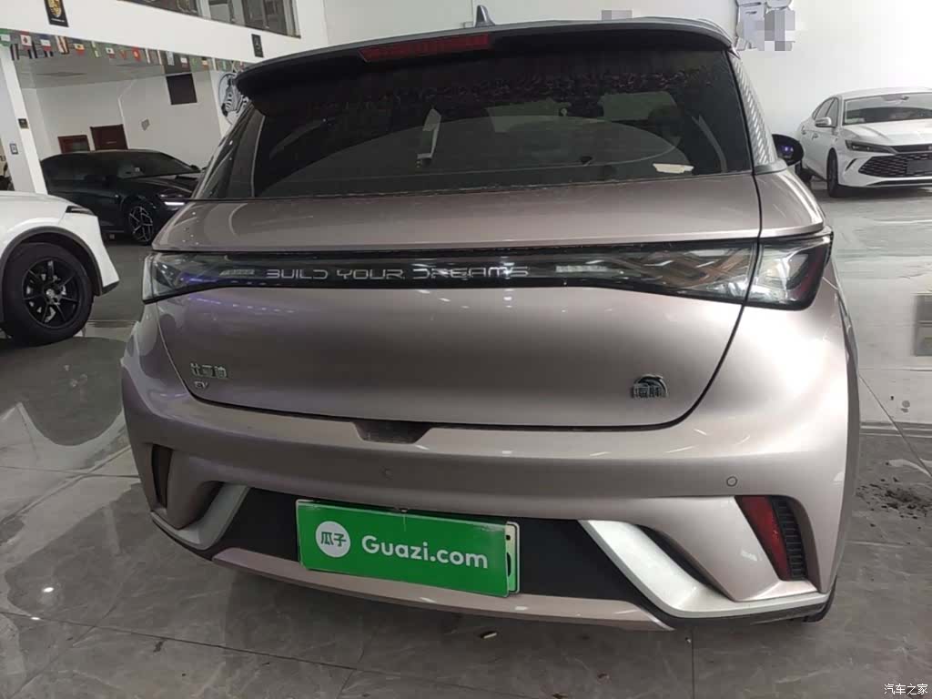 BYD Dolphin, 2022 6