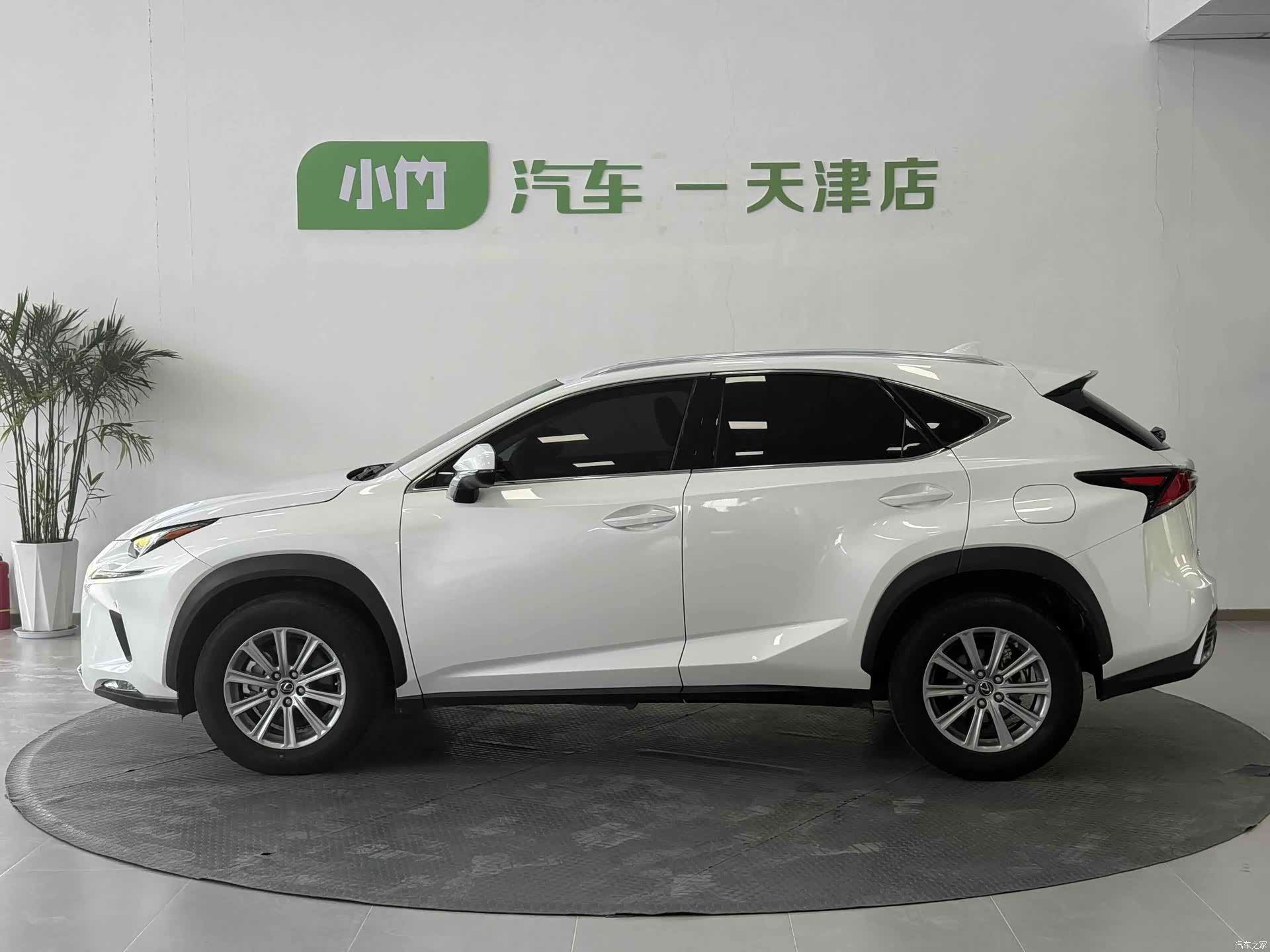 Lexus NX, 2021 2