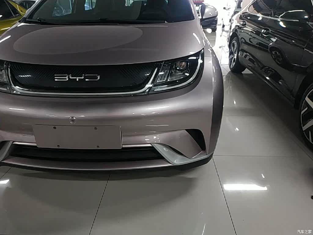 BYD Dolphin, 2022 24