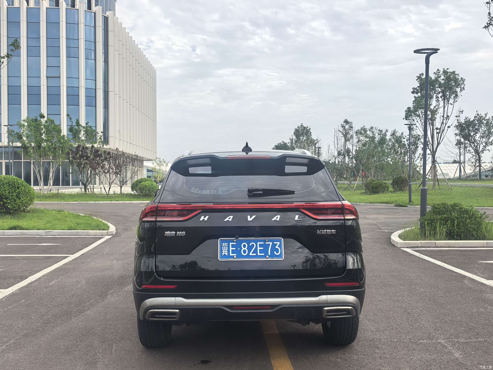 Haval H6, 2023 все фото