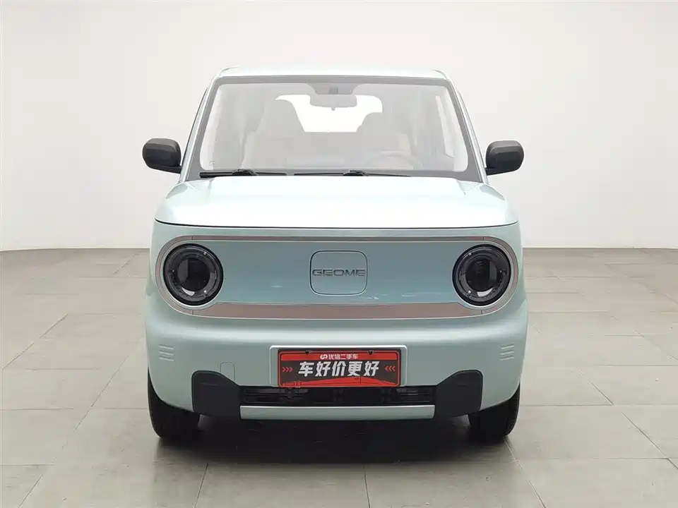 Geely Galaxy panda
