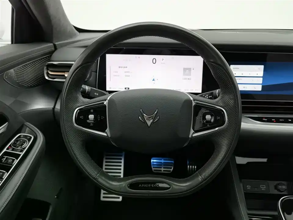 ARCFOX Polar Fox Alpha S