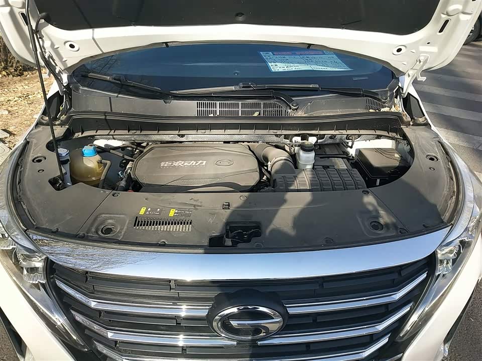 Trumpchi Trumpchi M8