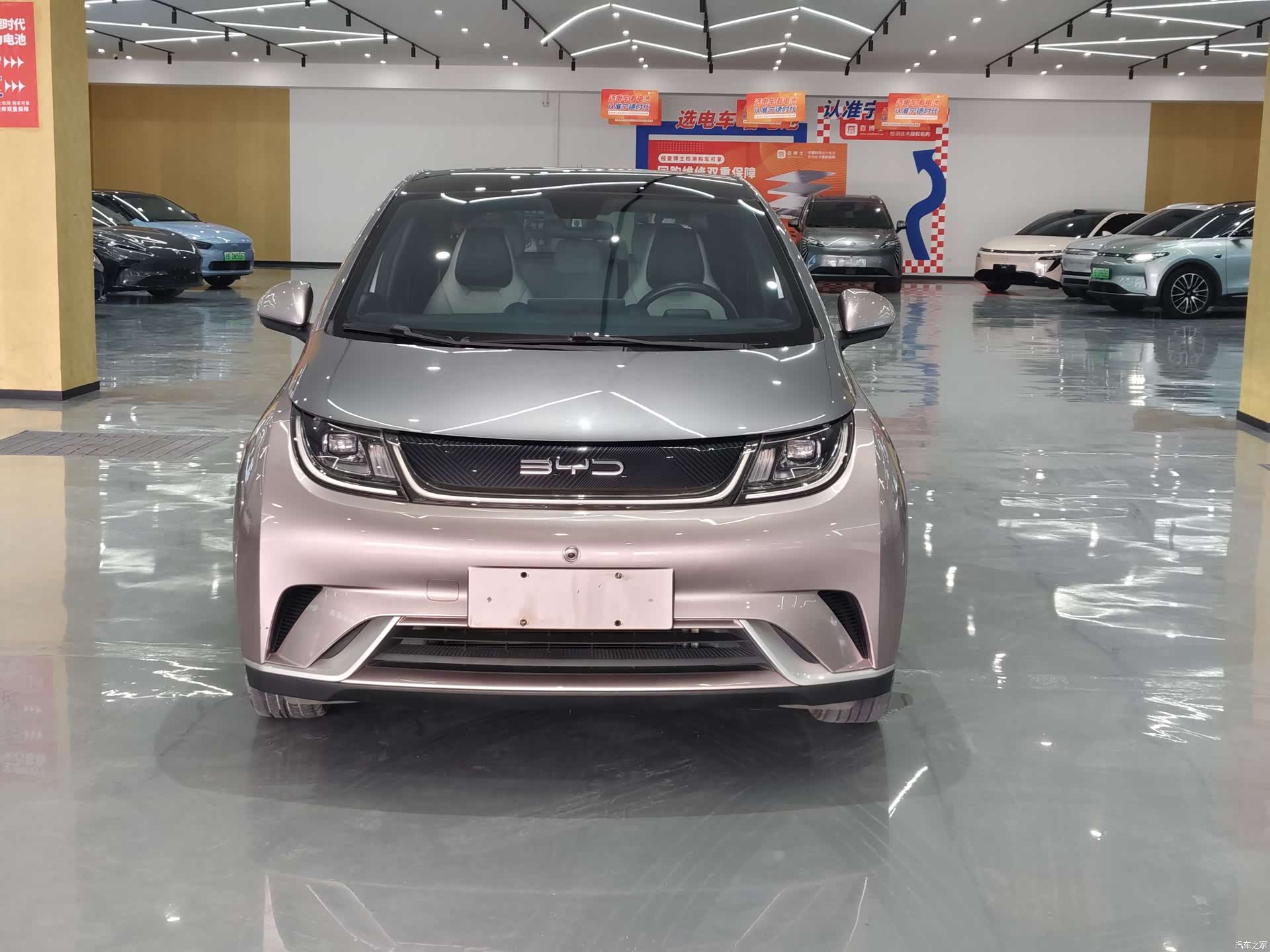BYD Dolphin, 2022 2