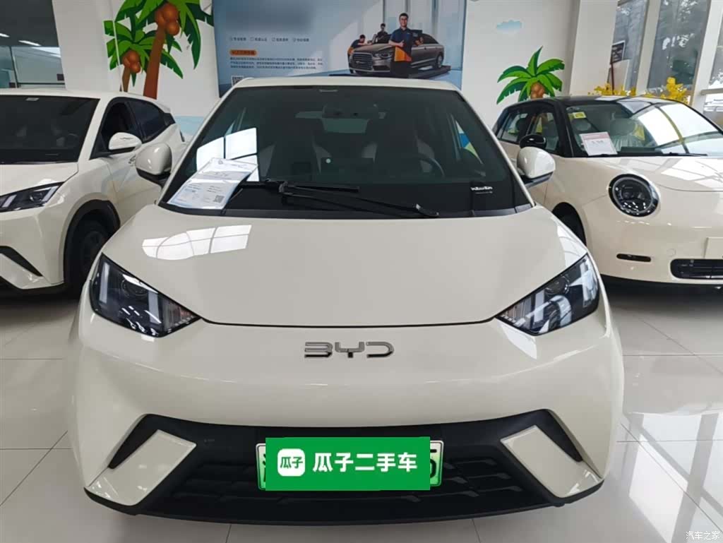 BYD Seagull, 2024 3