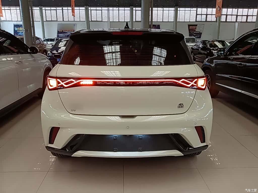 BYD Dolphin, 2023 4