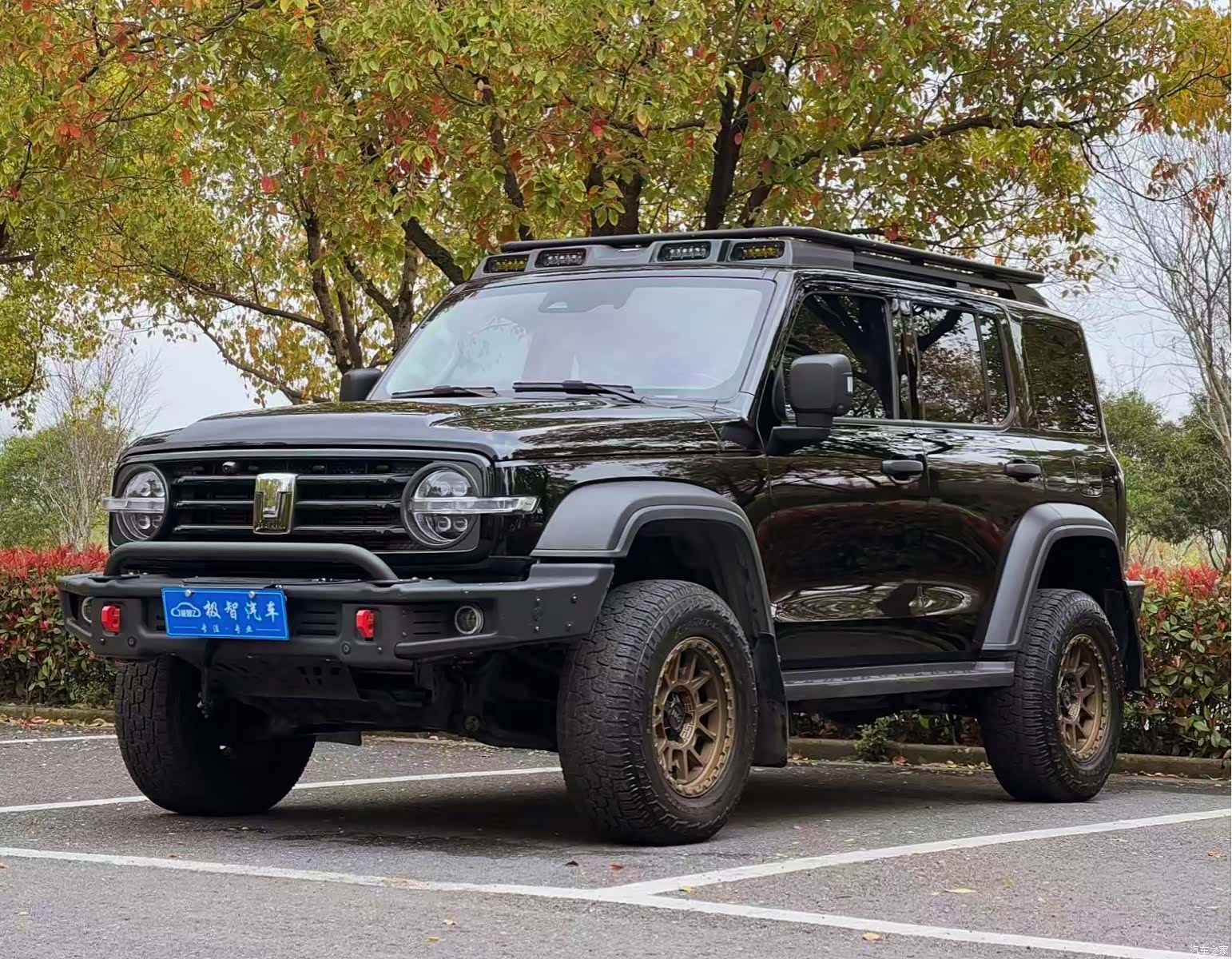 Tank 300, 2022 1