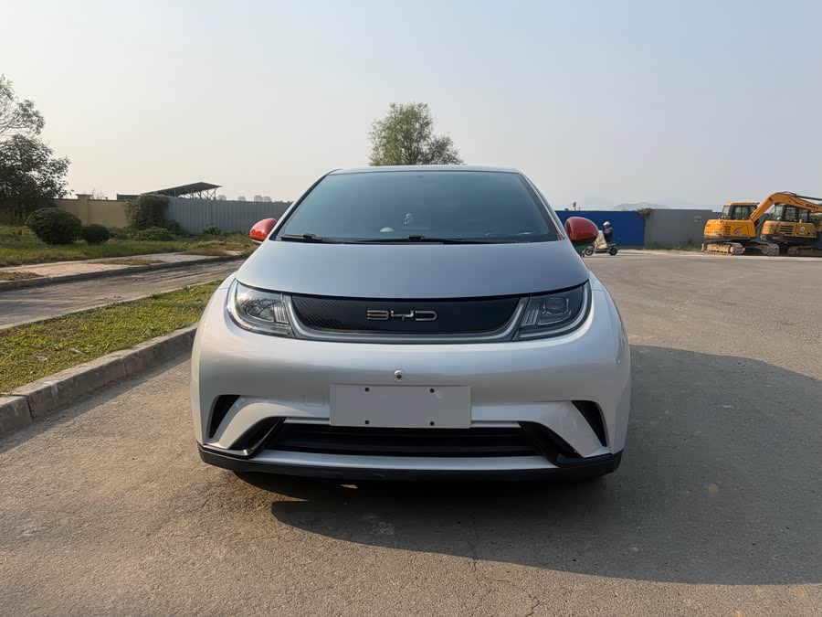 BYD Dolphin 2022, фото 1