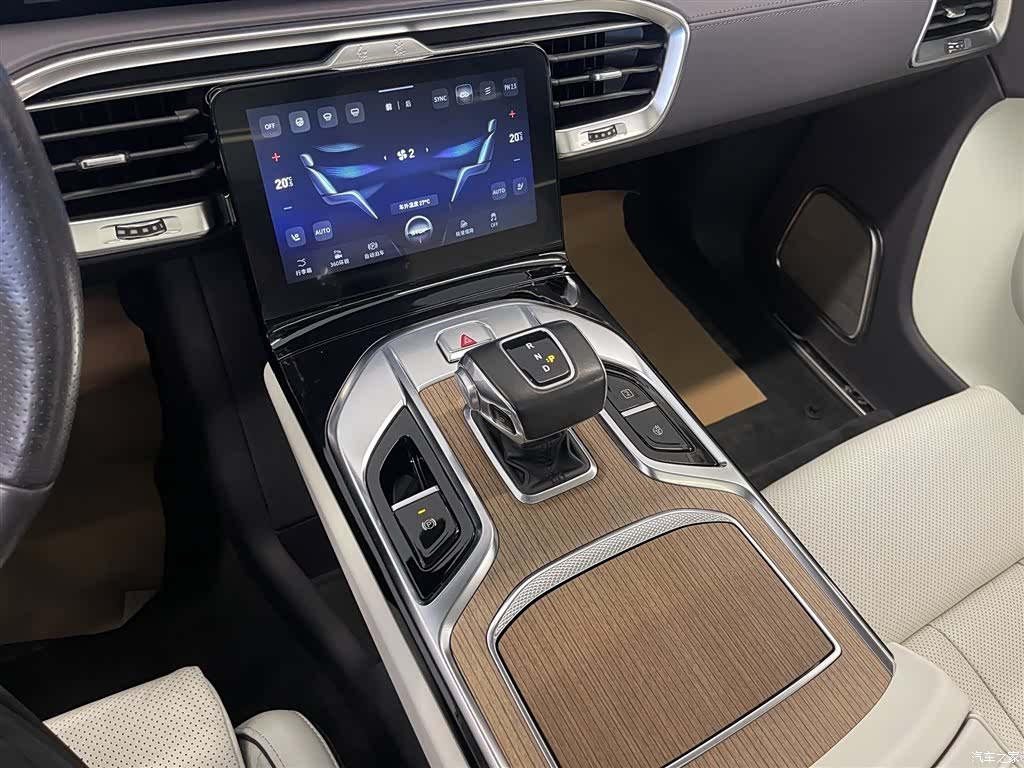 Hongqi E-HS9, 2022 19