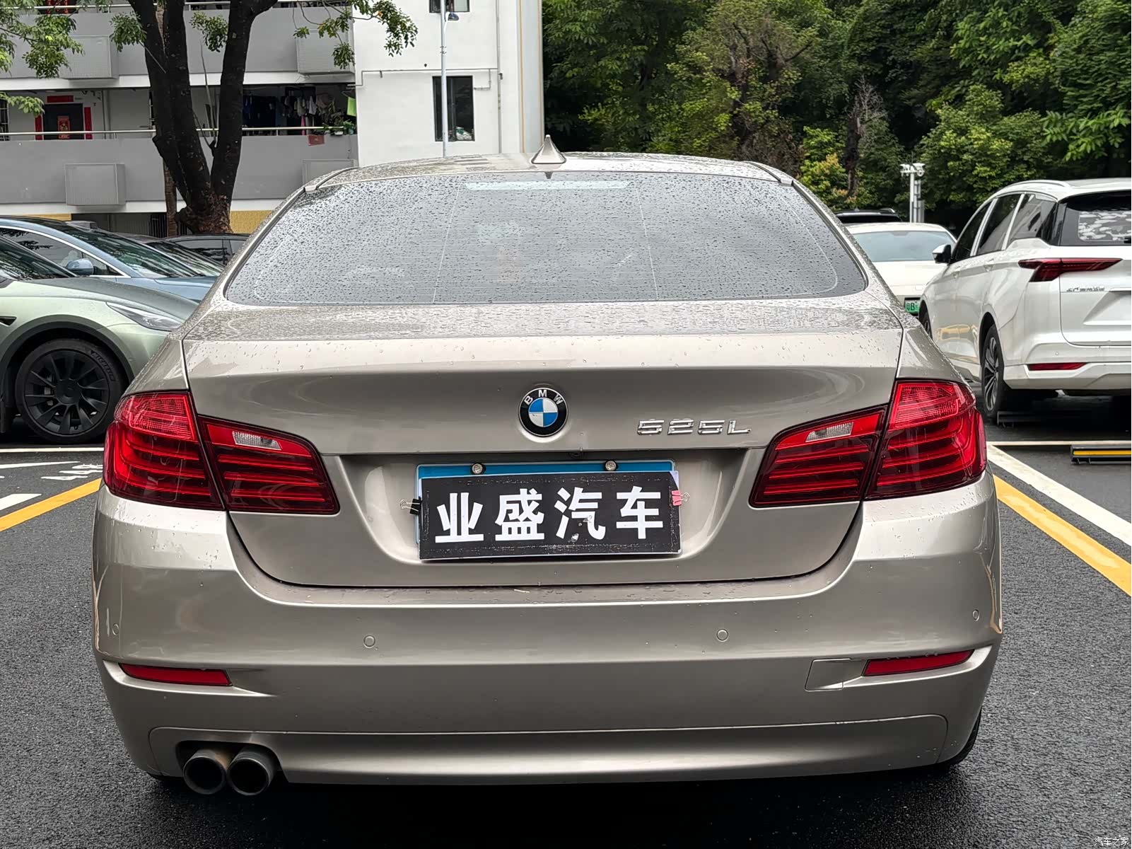 BMW 5 Series, 2017 все фото