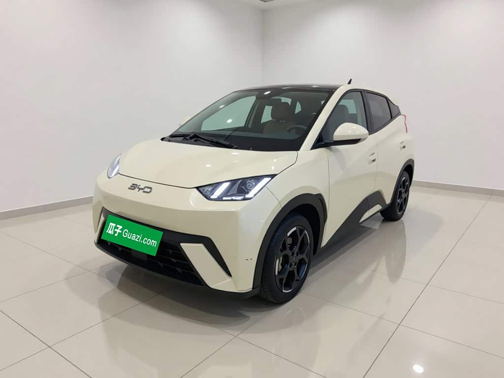 BYD Seagull 2025 305km Freedom