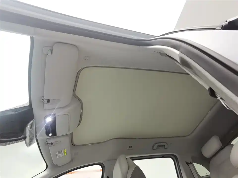 ARCFOX Polar fox koala