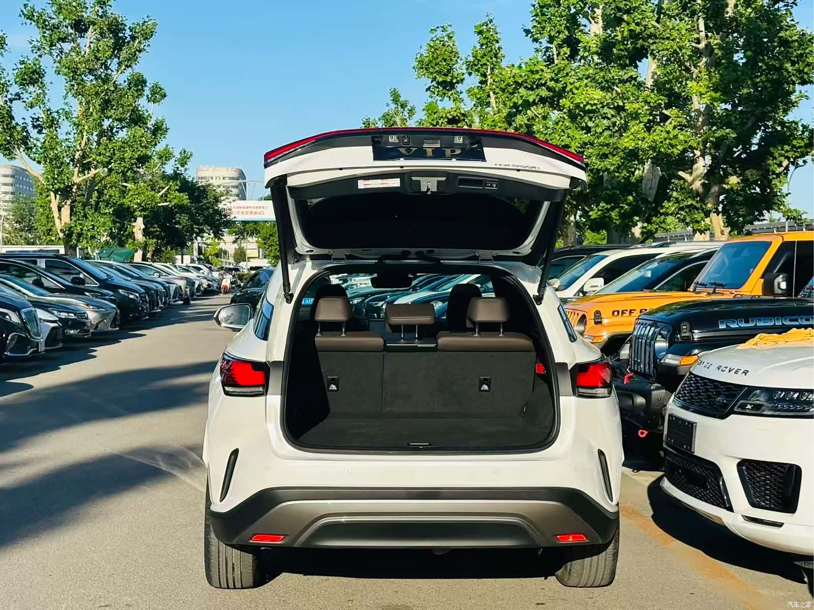 Lexus RX, 2023 28