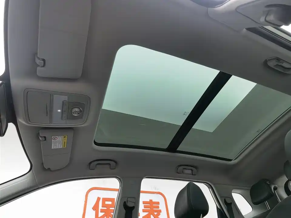 Roewe RX5 New energy