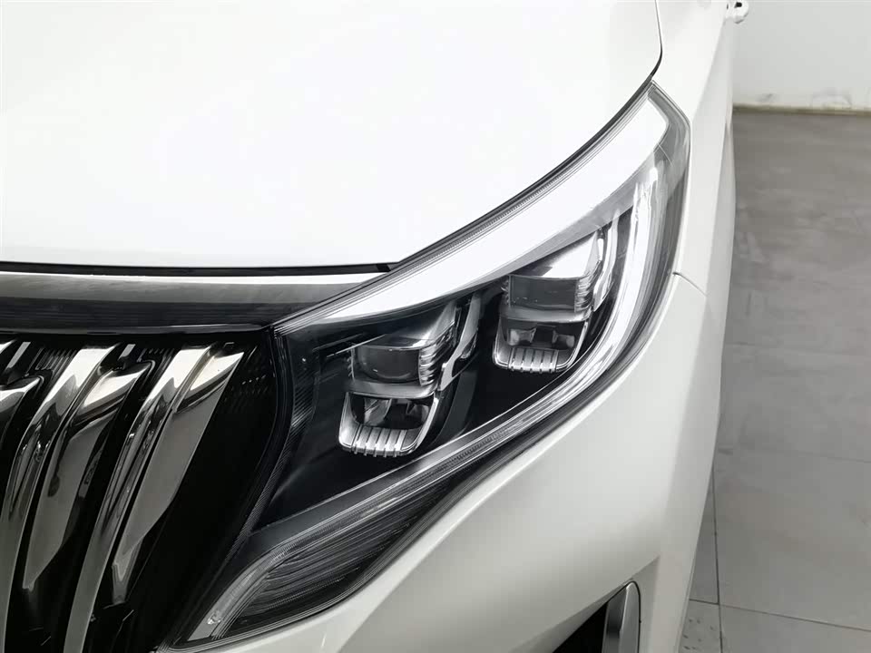 Trumpchi Trumpchi M8